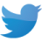 twitter quentin fily